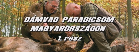 Damvad paradicsom Magyarorszagon 1