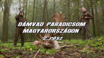 Damvad paradicsom Magyarorszagon 2