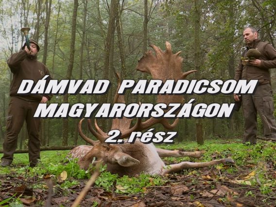 Damvad paradicsom Magyarorszagon 2