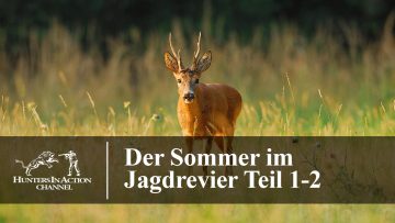 Der-Sommer-im-Jagdrevier-Teil1-2