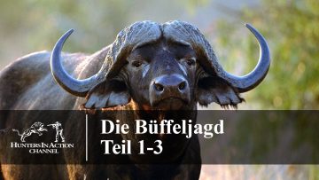 Die-Büffeljagd