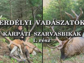 Erdelyi vadaszatok_karpati szarvasbikak