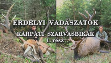 Erdelyi vadaszatok_karpati szarvasbikak