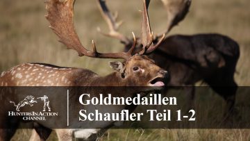 Goldmedaillen-Schaufler-Teil-1-2