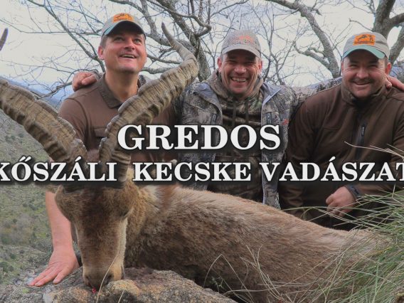 Gredos koszali kecske vadaszat