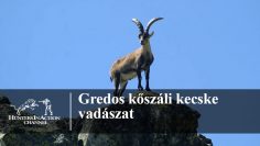 Gredos-kőszáli-kecske-vadászat