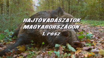 Hajtovadaszatok Magyarorszagon 1