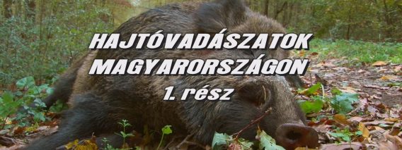 Hajtovadaszatok Magyarorszagon 1