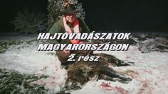 Hajtovadaszatok Magyarorszagon 2