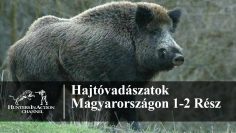 Hajtóvadászatok-Magyarországon