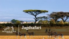 Jagdsafari