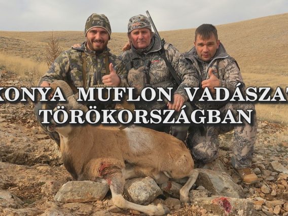 Konya muflon vadaszat Torokorszagban