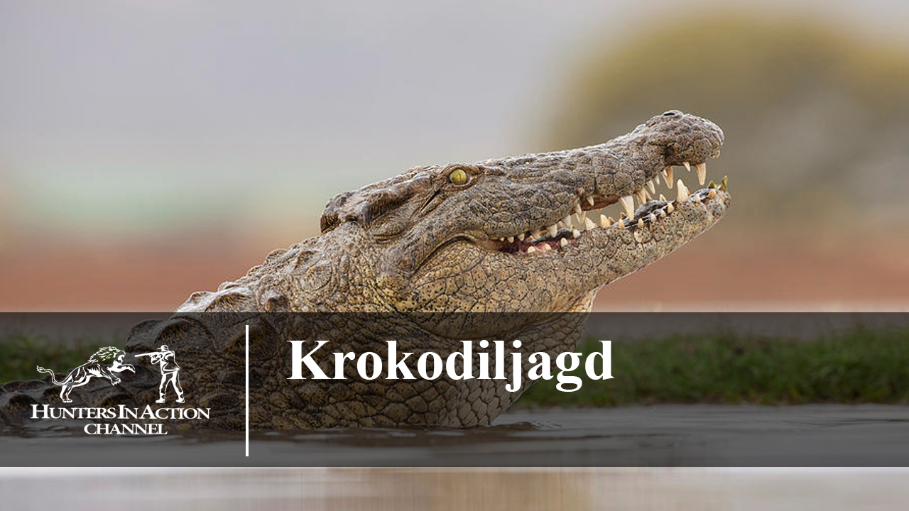 Krokodiljagd