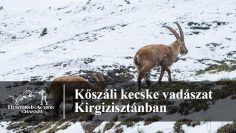 Kőszáli-kecske-vadászat-Kirgizisztánban