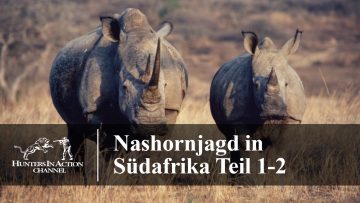 Nashornjagd-in-Südafrika-Teil-1-2