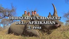 Orrszarvuvadaszat Del-Afrikaban 2