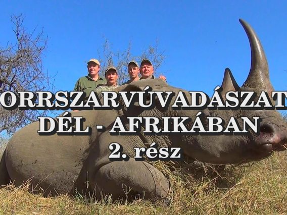 Orrszarvuvadaszat Del-Afrikaban 2
