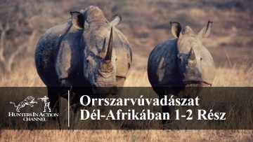 Orrszarvúvadászat-Dél-Afrikában