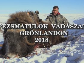 Pezsmatulok vadaszat Gronlandon 2018
