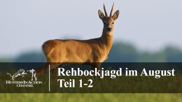 Rehbockjagd-im-August-Teil1-2