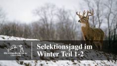 Selektionsjagd-im-Winter-Teil1-2