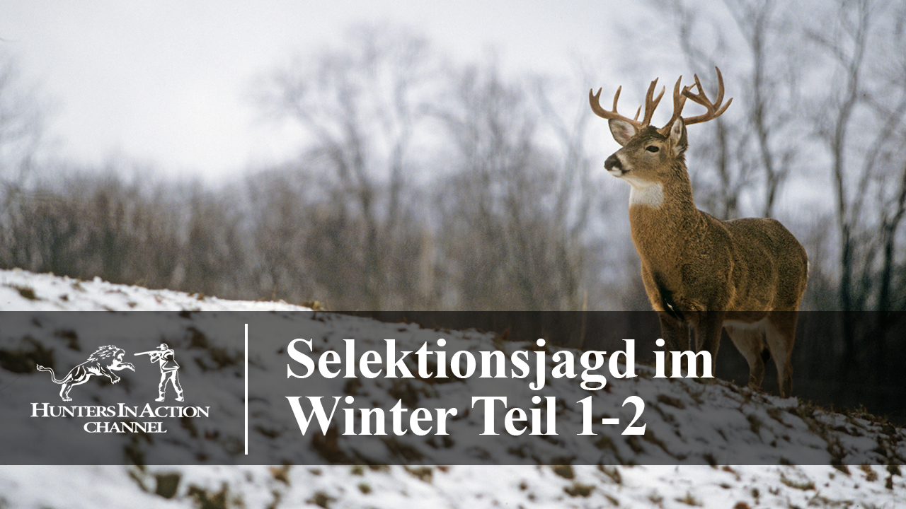 Selektionsjagd-im-Winter-Teil1-2