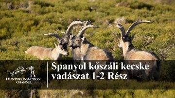 Spanyol-kőszáli-kecske-vadászat