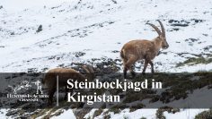 Steinbockjagd-in-Kirgistan