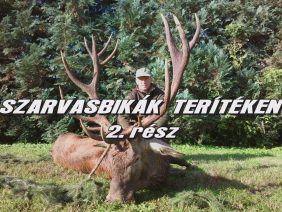 Szaravsbikak teriteken 2