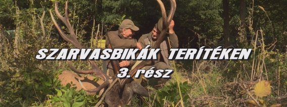 Szaravsbikak teriteken 3