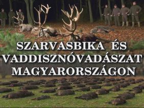 Szarvasbika es vaddisznovadaszat Magyarorszagon