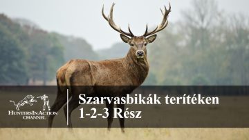 Szarvasbikák-terítéken