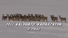 Teli valogato vadaszatok 2