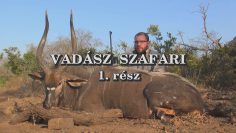 Vadasz szafari 1