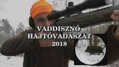 Vaddiszno hajtovadaszat 2018