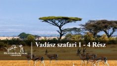 Vadász-szafari