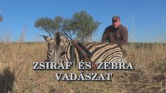 Zsiraf es zebra vadaszat