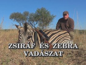Zsiraf es zebra vadaszat