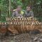Bongojagd im Regenwald von Kamerun Teil1-2