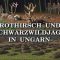 Rothirsch- und Schwarzwildjagd in Ungarn