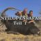 Antilopensafari Teil1