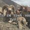 Jagd im Tian-Shan Teil 1