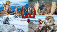 Best-of-North-American-Big-Game-Hunting-with-Kristy-Titus