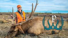 Colorado-Elk-Hunting-with-Kristy-Titus