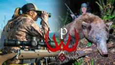 Oregon-Spring-Bear-hunt