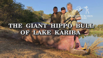 The-giant-hippo-bull-of-Lake-Kariba