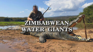 Zimbabwean-water-giants