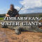 Zimbabwean Water Giants