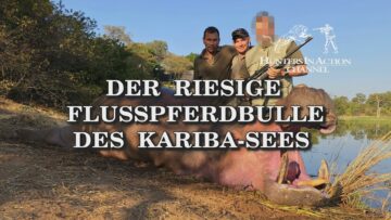 der-riesige-flusspferdbulle-des-kariba-sees