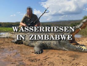 wasserriesen-in-zimbabwe